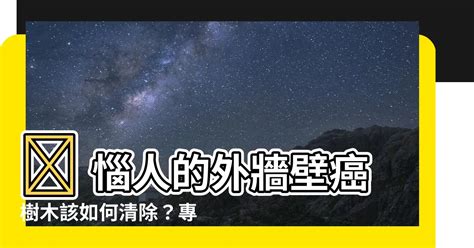 牆壁長樹|【外牆除樹】 惱人的外牆壁癌樹木該如何清除？專家出招輕鬆解決！